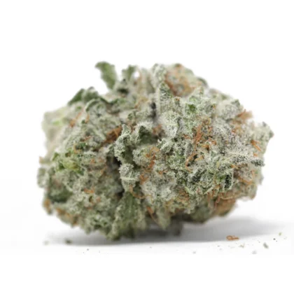 Key Lime Pie