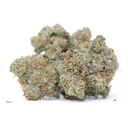 Kushberry BC - Special