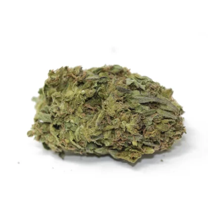 Lady Cane Sour Diesel