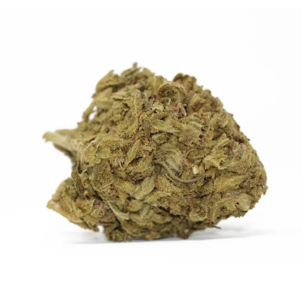 Larry Bird strain AA+ hybrid cannabis flower