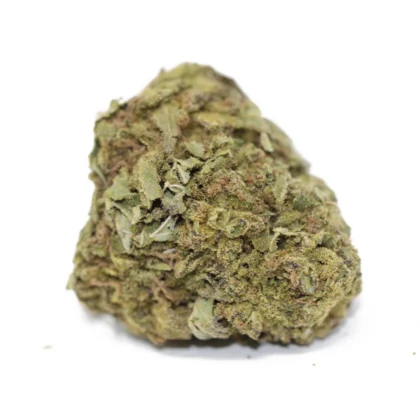 Mac #1