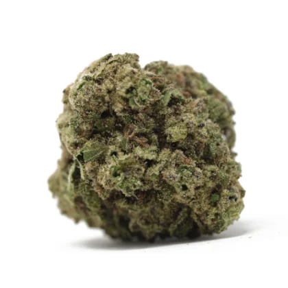 Master Kush