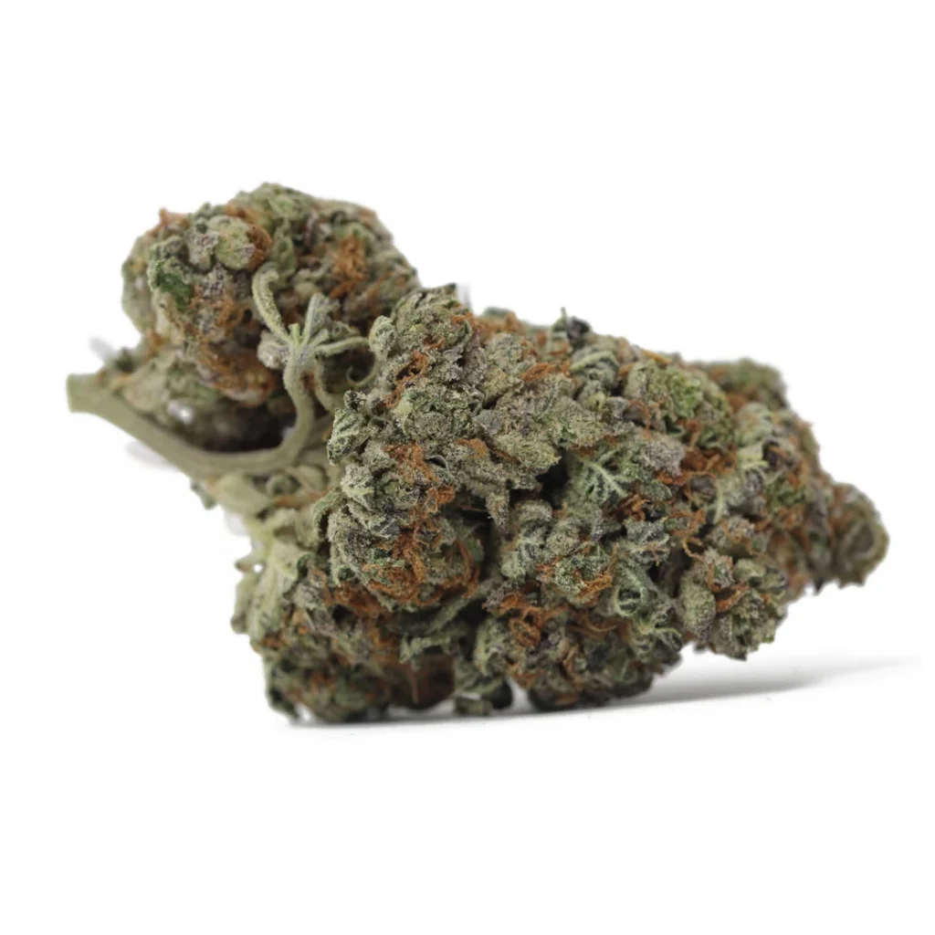 Mendocino Purps strain AAA indica cannabis flower