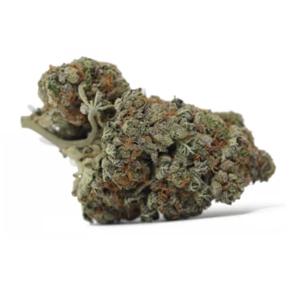 Mendocino Purps strain AAA indica cannabis flower