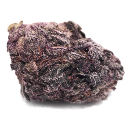 Monkey Punch (TOP SHELF)