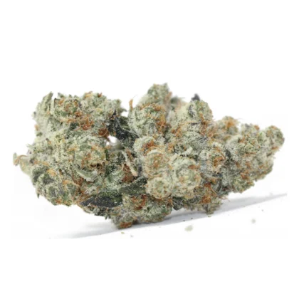 Mother Goddess ORGANIC