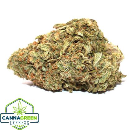 Orange Zkittlez strain AAAA hybrid cannabis flower