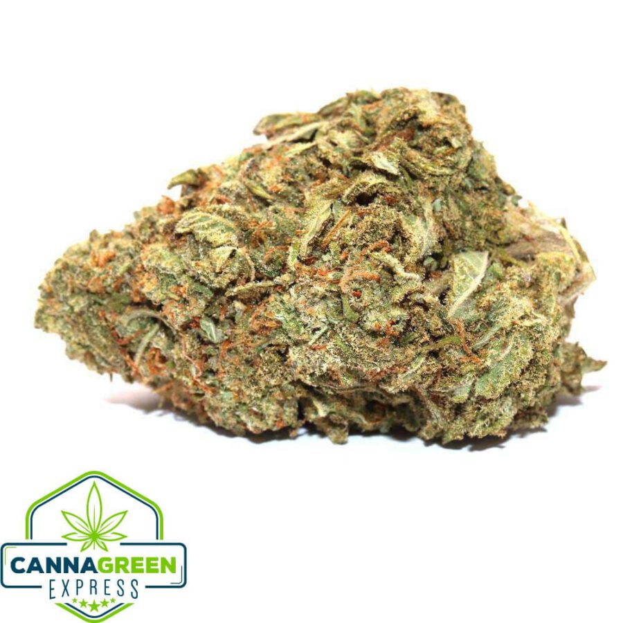 Orange Zkittlez strain AAAA hybrid cannabis flower