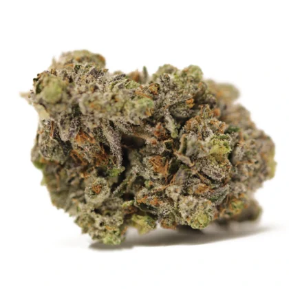 Purple Berry