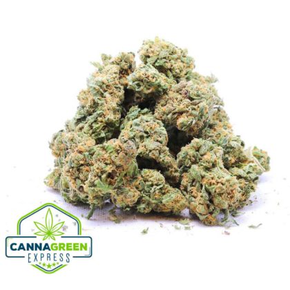 Purple Diesel