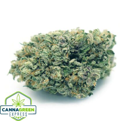 Purple Gorilla Special