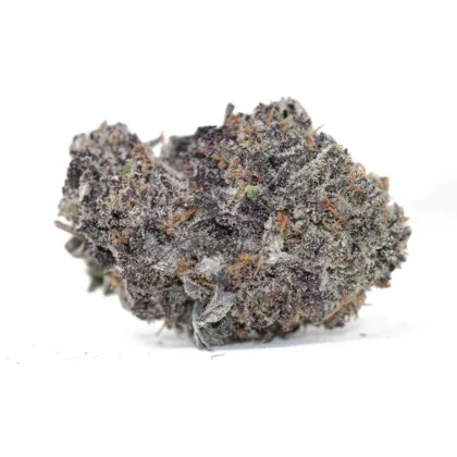 Purple Skunk
