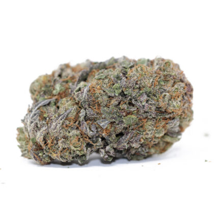 Purple Space Monkey