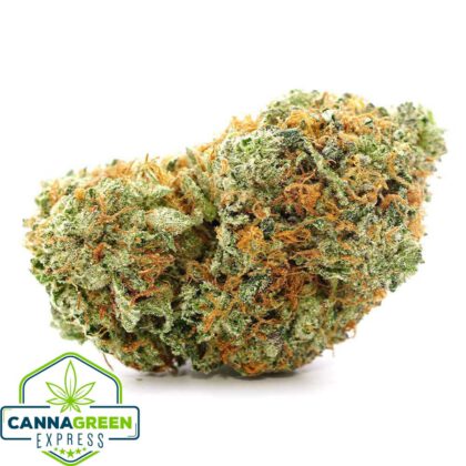 Rockstar Kush
