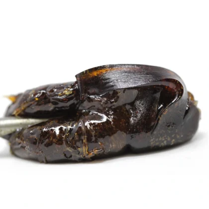 Skywalker OG Resin (CRAFT)