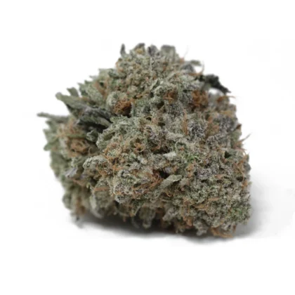 Slurricane strain AAAA hybrid cannabis flower