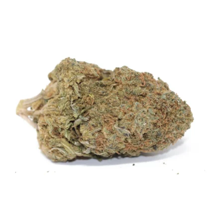 Snoop Dog OG