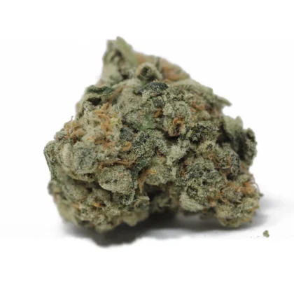 Strawberries and Cream TOP SHELF