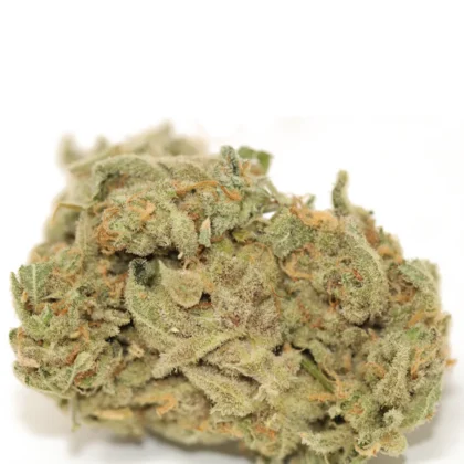 Tangerine Dream