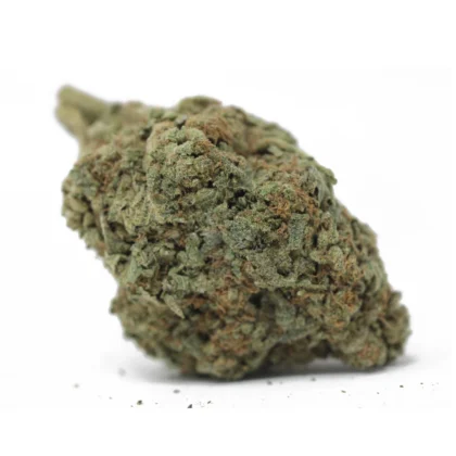Tropicana