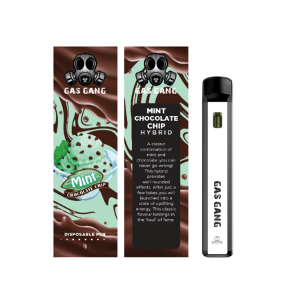 Mint Chocolate Chip