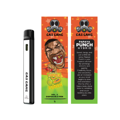 Papaya Punch