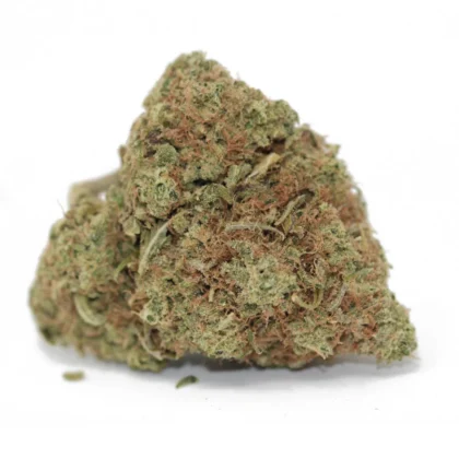 Watermelon Zkittlez