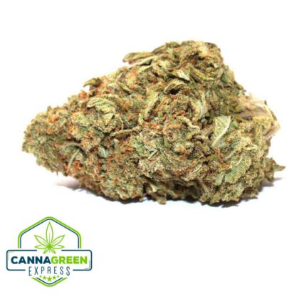 White Cookies