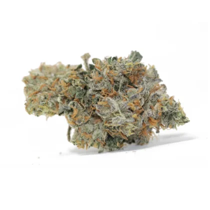 Wild Berry strain AAAA hybrid cannabis flower